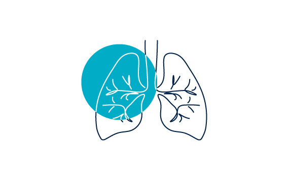 Course Image 25th Annual UBC Respiratory Medicine Update