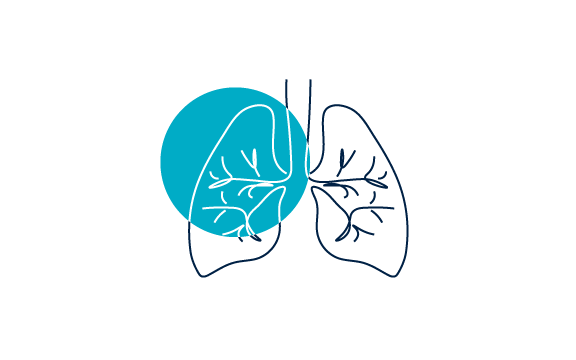 Course Image Respiratory Medicine Update 2025