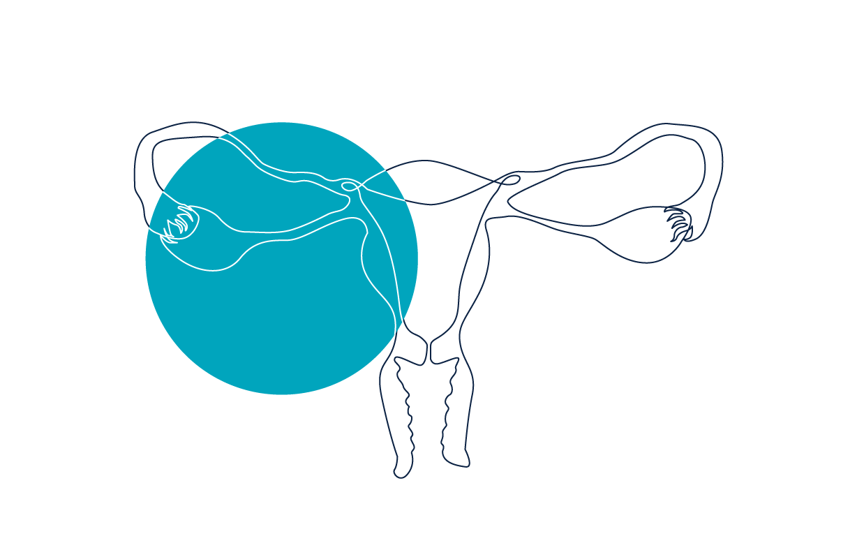 Course Image Vulvovaginal Virtual Health Update 2025